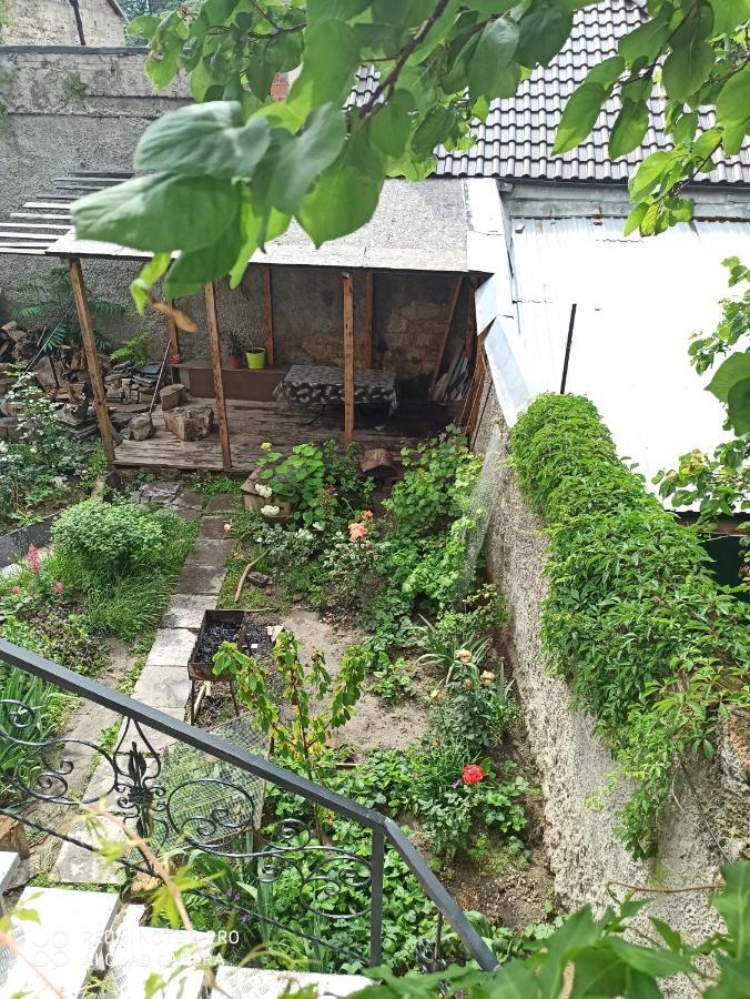 номер в гостевом доме у моря 公寓 *